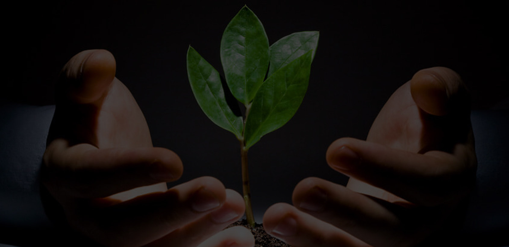 Imagem Banner Direito fundiário, ambiental e agronegócio Marques e Tenca Advogados